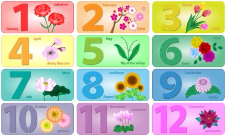 Birth months with corresponding name of flower