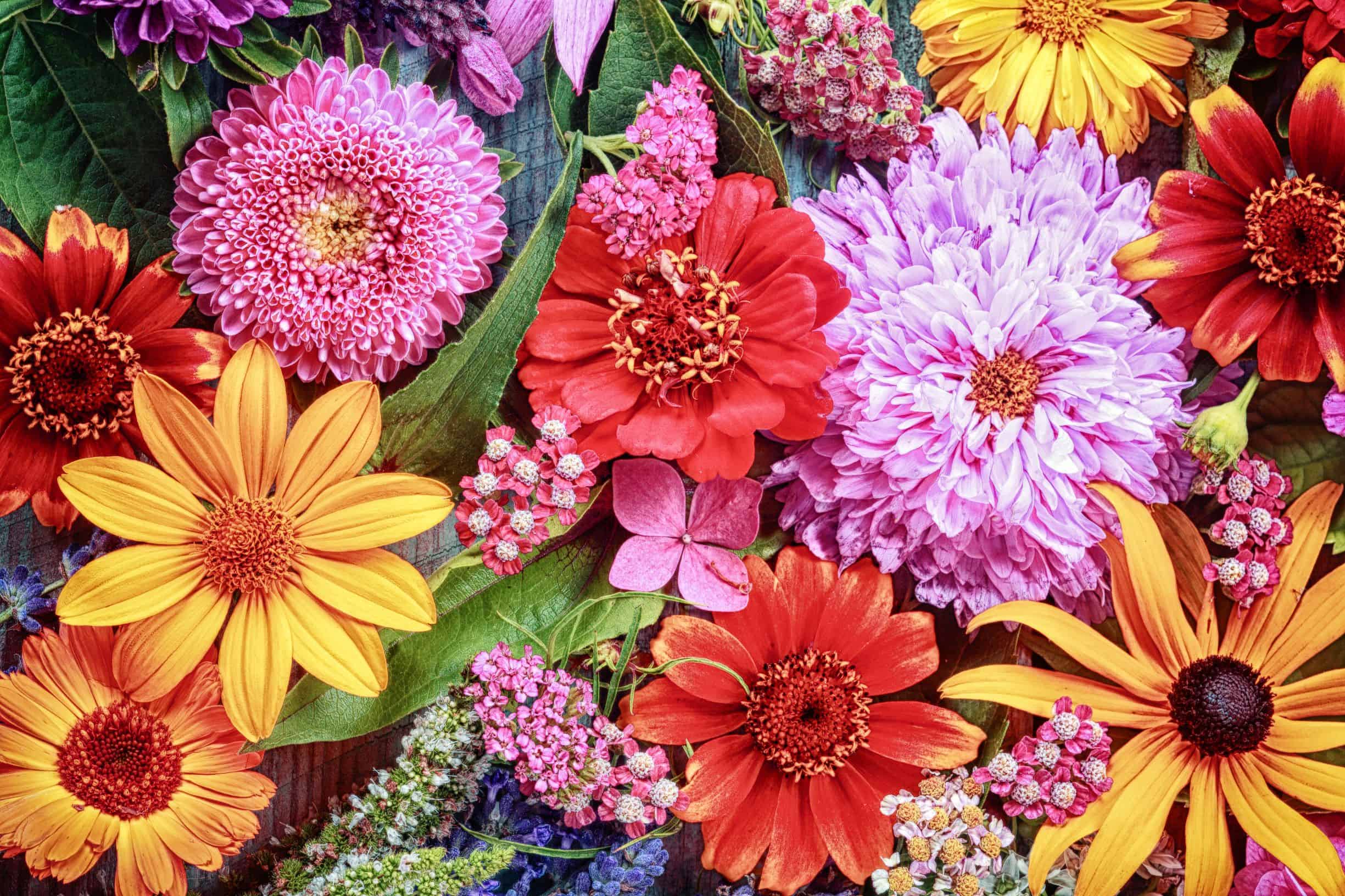 Birthdays, Birthstones, and Bouquets - Port Charlotte Florist Blog