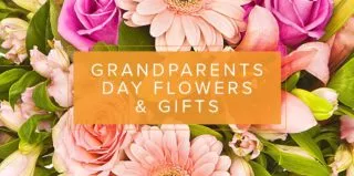 Lifestyle-GrandparentsDay-blog