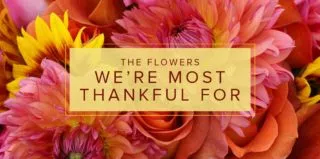 Lifestyle-ThankfulFlowers-blog