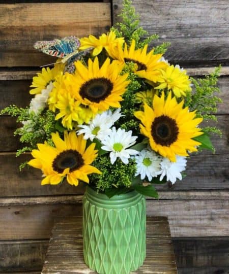 Bright, sunny, and irresistible! This cheery arrangement of sunflowers with yellow and white daisies will bring joy to anyone that receives it. Delivered in a keepsake cream pitcher and accented with an orange butterfly, this is one arrangement that will pour on the smiles!