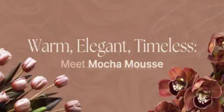 Elegant Mocha H