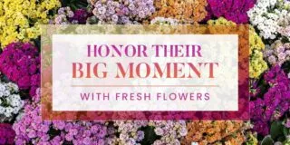 Elegant—FDS—Grad Parties—Blog Header