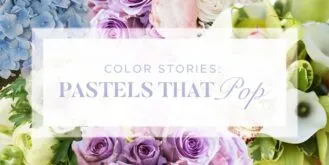 Elegant—FDS—Pastel Hues—Blog Header